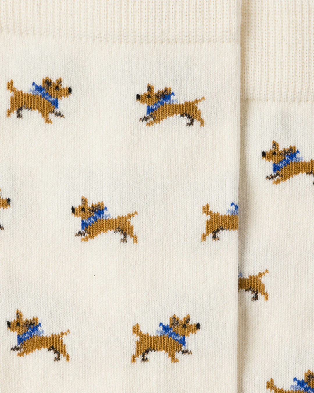 Albert Socks | Ivory