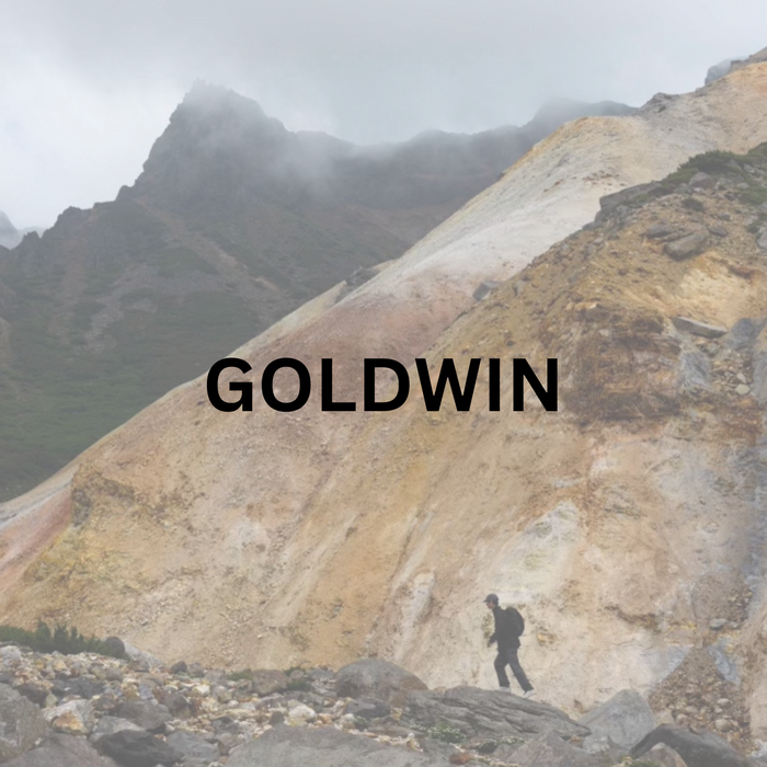The Story of Goldwin