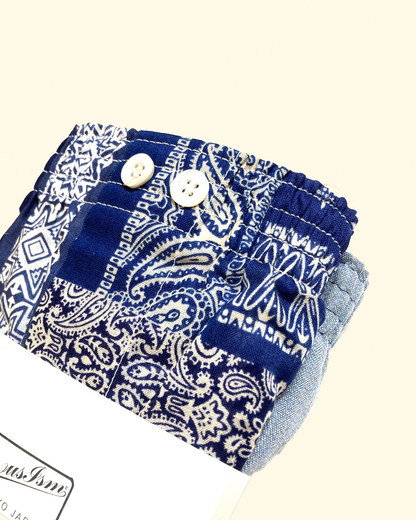 Bandana & Solid 2 Pack Boxers | Blue