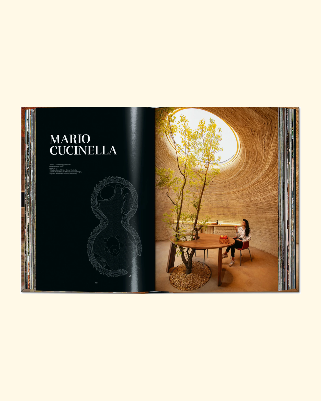 Homes for Our Time Vol. 3 Book