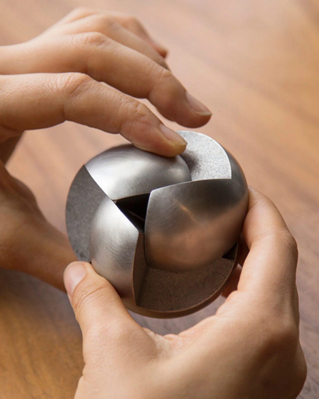Venn Puzzle | Stainless Steel