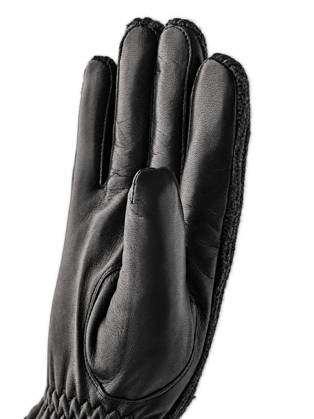 Hestra Christopher black palm detail, AI-edited background